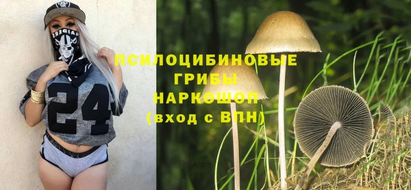 герыч Абаза